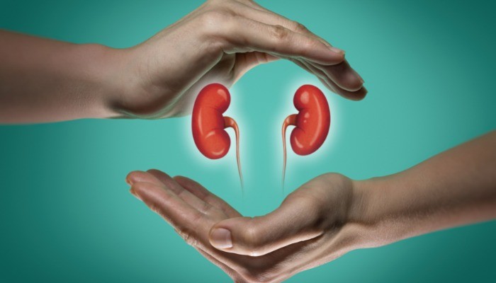 Are you Damaging your Kidneys Unintentionally?