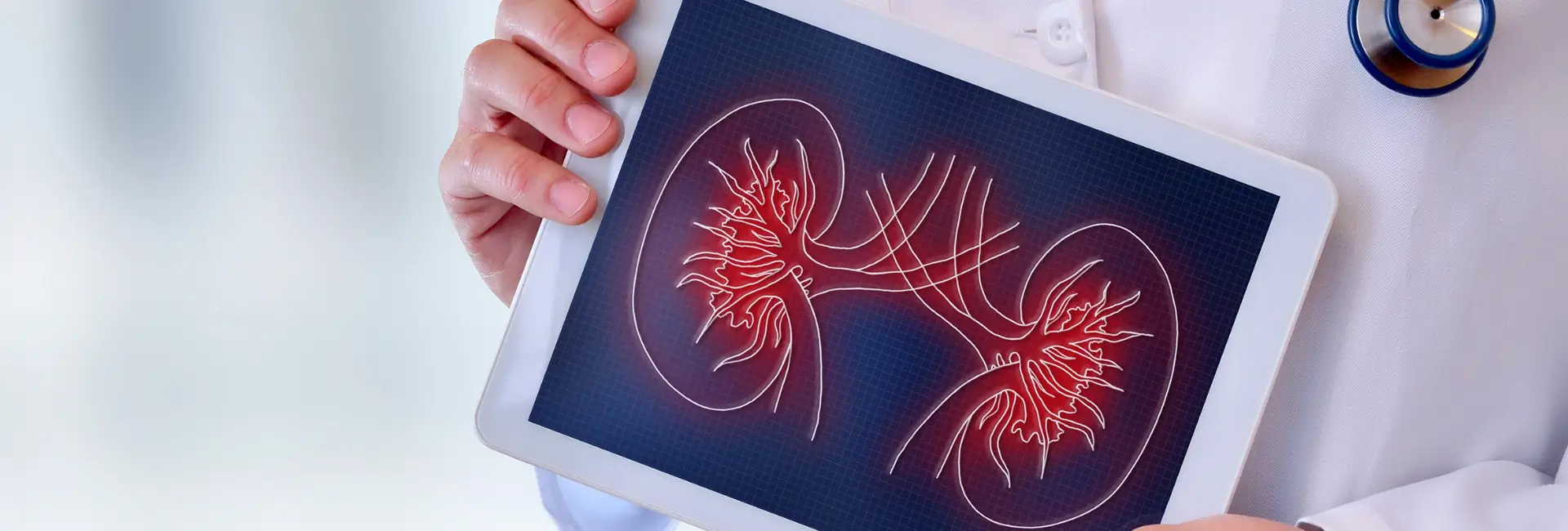 Kidney Disease